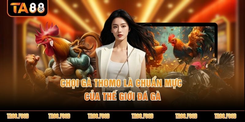 Đá gà Thomo
