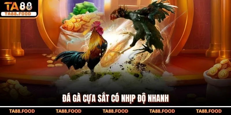 Đá Gà Ta88