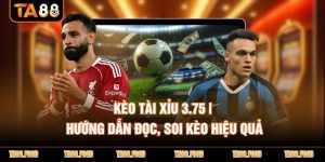 Kèo tài xỉu 3.75